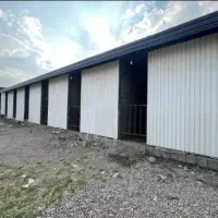 پانسیون و اجاره باکس اسب