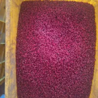 گوسفند فروشی