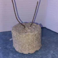 کاور بتنی