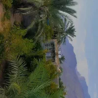 اجاره خانه روزانه