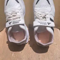 کفش اسپورت
