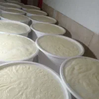 همکار خانم لبنیات نهاوند