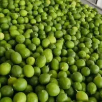لیمو ترش
