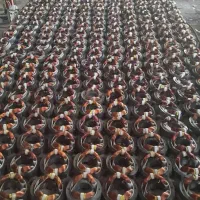 نصب رایگان در تهران موتور دینام کولر آبی مدل101