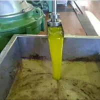 روغن زیتون بابو و روغن زیتون بی بو
