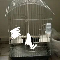 قفس پرنده