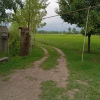 ملک 1300متر با دوتا ویلا 70 متری جای دنج