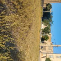 فروش زمین ۱۸۰ متری بر خیابان ۱۸ متریشهرک مخابرات