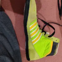 کفش کشتی|تجهیزات ورزشی|بروجرد, |دیوار