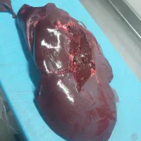 جذب تخته کار
