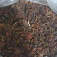 کشمش با قیمت مناسب مخصوص آبگیری