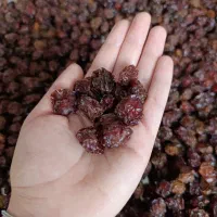 آلوچه خشک درجه یک