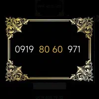 0919.60.80.232|سیم‌کارت|تهران, پرستار|دیوار