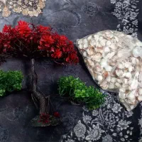 درخت آکواریوم