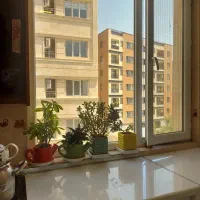 سازه-ای-بنام-در-بهترین-لوکیشن-شهران-ویودار