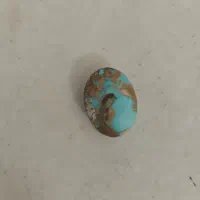 وباباقوری  وگوهر شب چراغ وتایگر