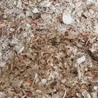 فروش نون خشک عمده
