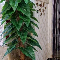 درختچه مصنوعی