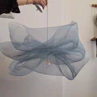 لوستر پئونی