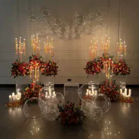 اجرای صفر تا صد تولد کودک