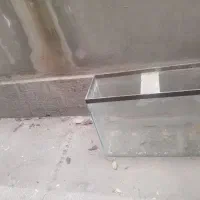 اکواریوم