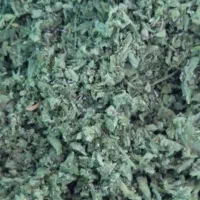 پونه کوهی تازه باعطر فراوان