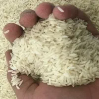 برنج هاشمی درجه یک