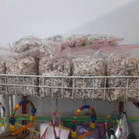 خوراک دام میدان لاله  نبش مطهری ۱۵