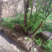 رهن کامل در  چشمه اعلا دماوند بعد احمد آباد