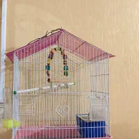 قفس پرنده با لانه و ظرف آب و تاب