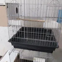 قفس بزرگ