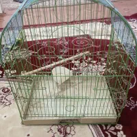 قفس