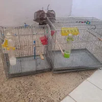 قفس سهره وقناری