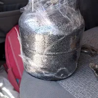 پیکنیک بزرگ نو