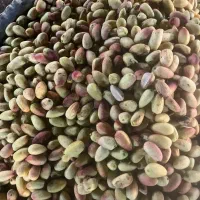 پسته|عمدهفروشی|ساوه, |دیوار