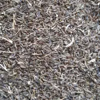 زیره سیاه کوهی کیبر اصل اصل