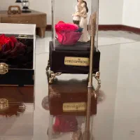 گل رز جاودان چند رنگ