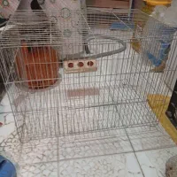قفس پرنده