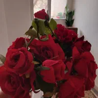 گلهای بسیار زیبا وخارجی فقط ۴۰۰