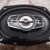 بیضی پایونر 6995