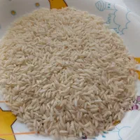 برنج هاشمی خوش پخت سورت شده آستانه اشرفیه