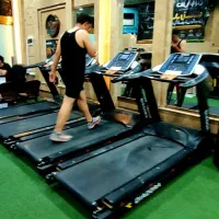 تردمیل DIADORA