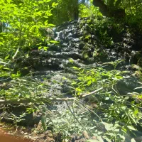 طبیعت گردی و گردشگری