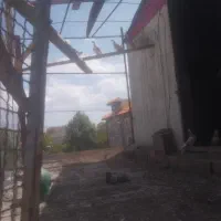 کبوتر پرشی ۱۵ عدد