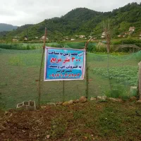 فروش زمین گیلان