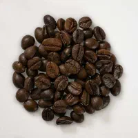 استخدام فروشنده خانم* ۴ روز در ماه
