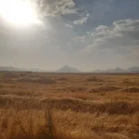زمین-کشاورزی