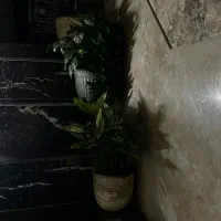 خانه کلنگی
