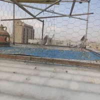 سه تاجوجه خوب|پرنده|تهران, زنجان|دیوار