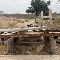 فروش گاری الاغ(عربانه)